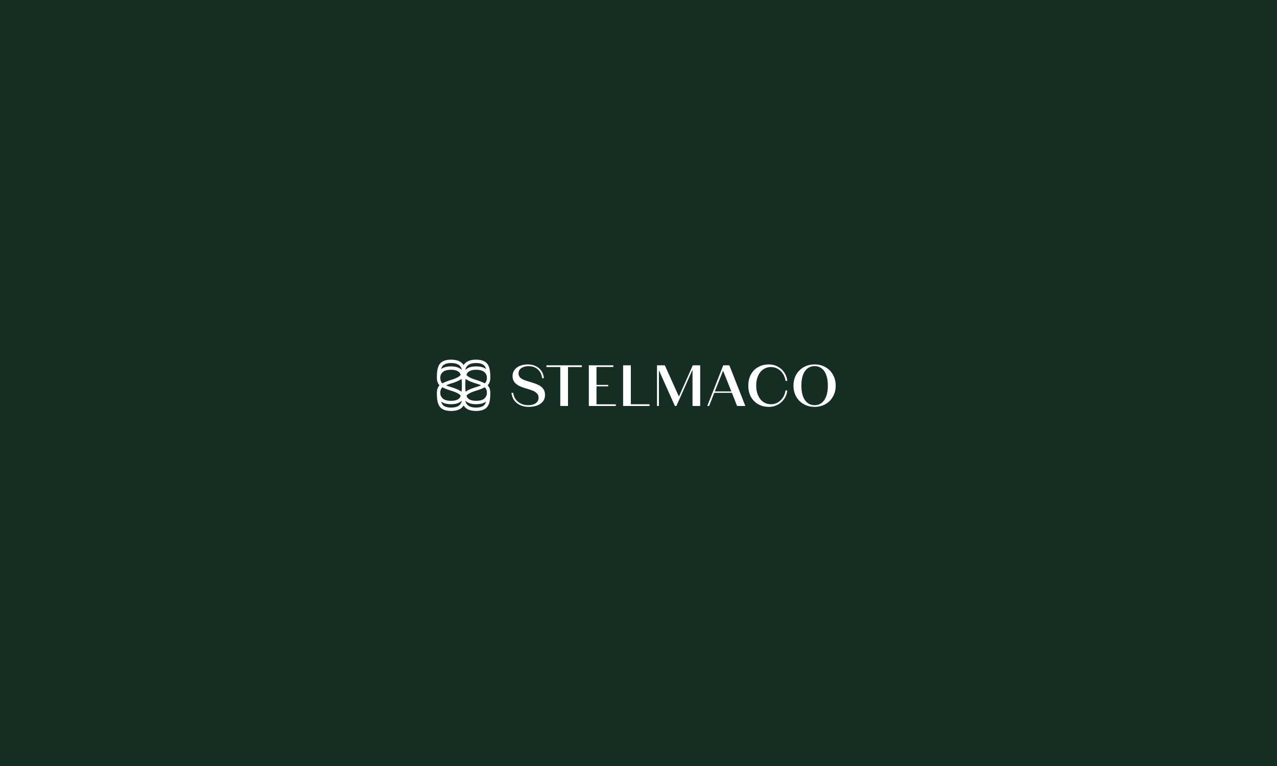 Stelmaco - Wealth Is More Than What You Own